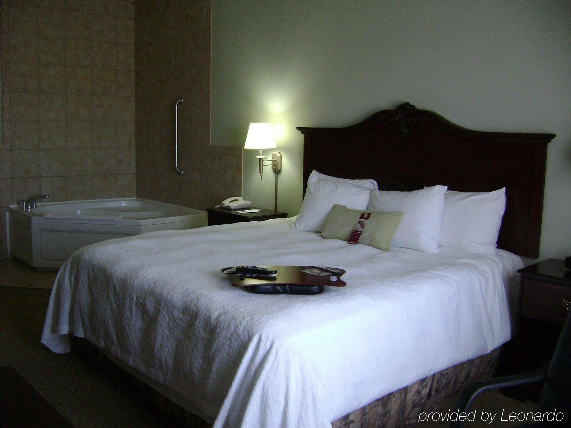 Hampton Inn Fort Stockton Room photo